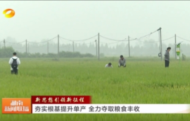 視頻丨新思想引領新征程 夯實根基提升單...